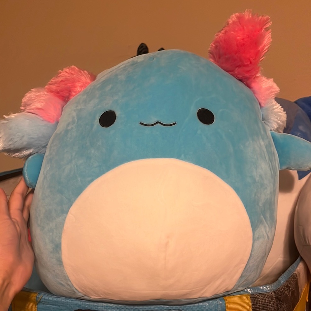 anastasia squishdoo 14in